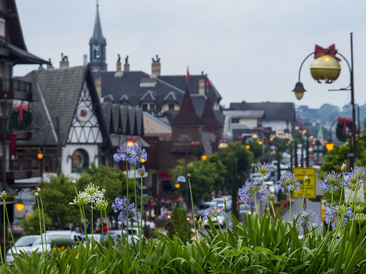 Agapantos floridos em primeiro plano e, ao fundo desfocado, a avenida de Gramado com decoração natalina